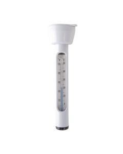 Intex Thermometer 