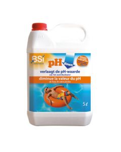 BSI 6258 pH DOWN Liquid 5 L