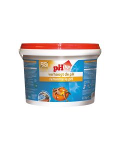BSI 6265 pH UP Powder 2,5 Kg